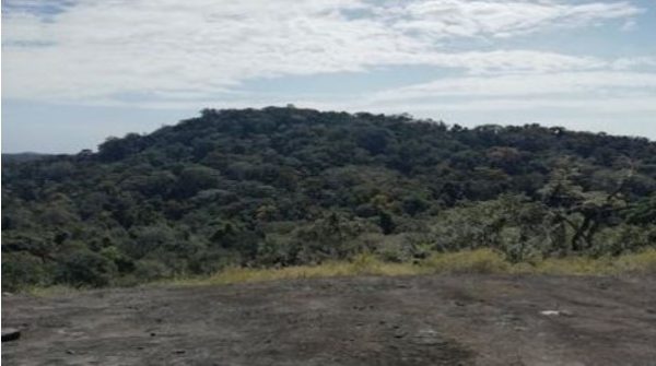 Gola Rainforest National Park