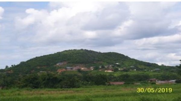 Kamboi Hills National Forest